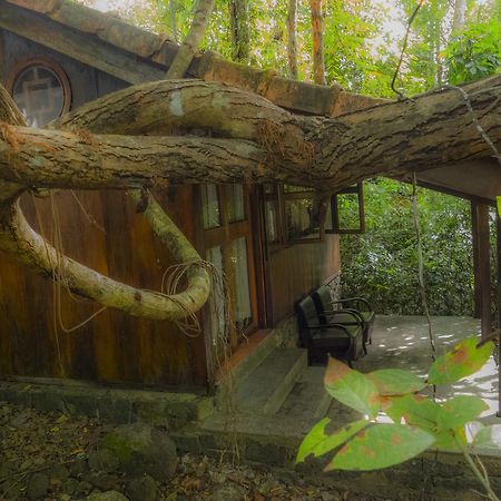 Forest Floor Lodge Cát Tiên Exterior foto