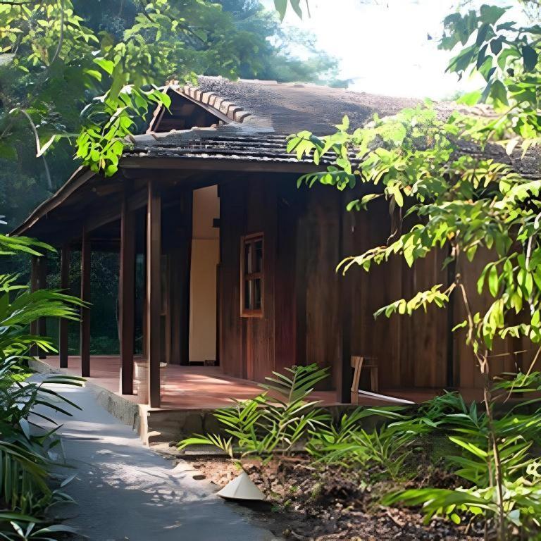 Forest Floor Lodge Cát Tiên Exterior foto