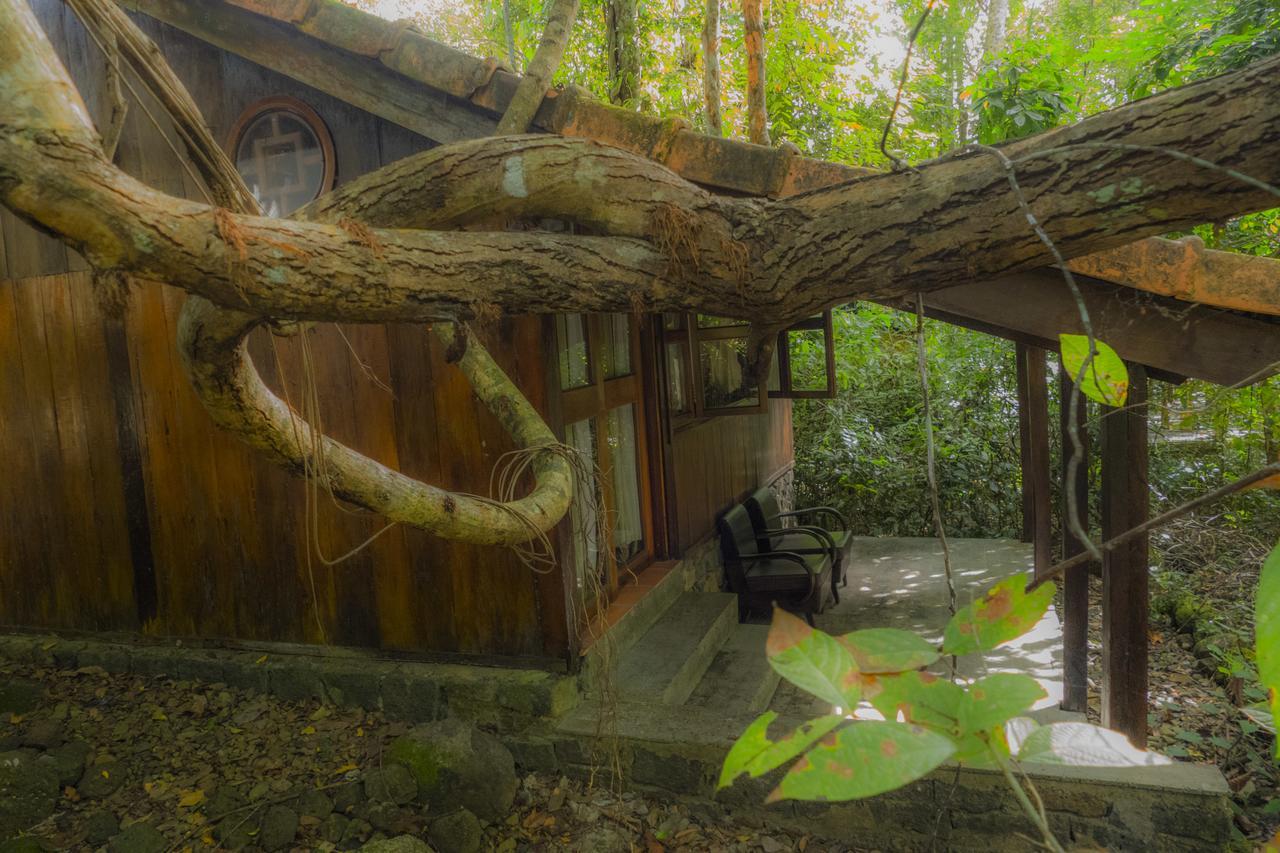 Forest Floor Lodge Cát Tiên Exterior foto